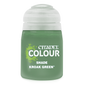 Paint: GW Citadel Shade - Kroak Green